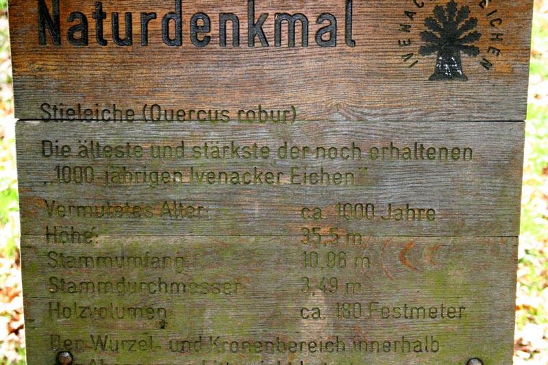 Killikus&reg; Fotographie